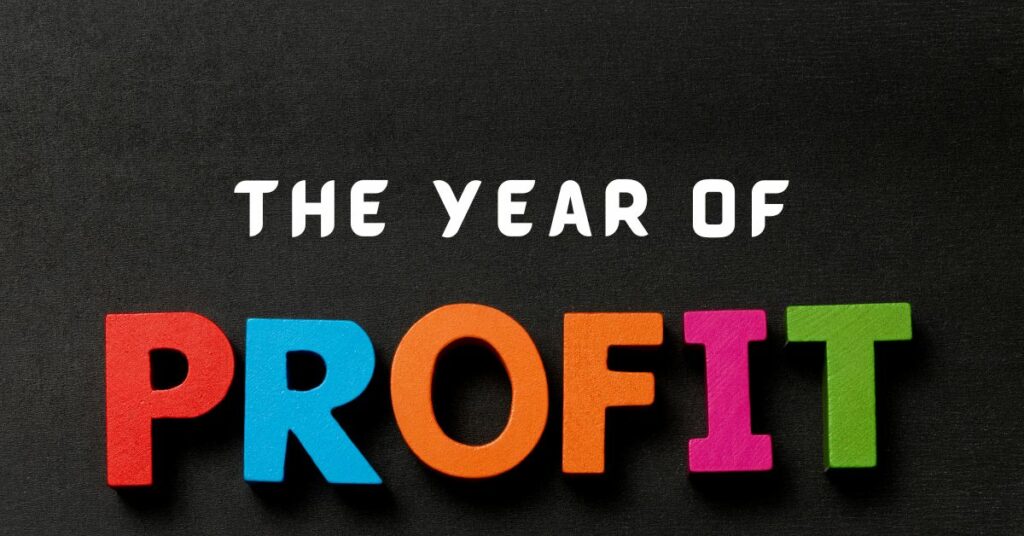 Business Growth. The year of profit