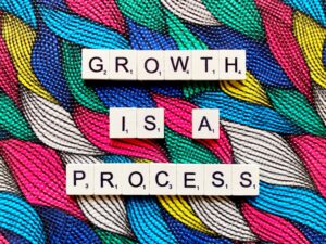 what is a growth business